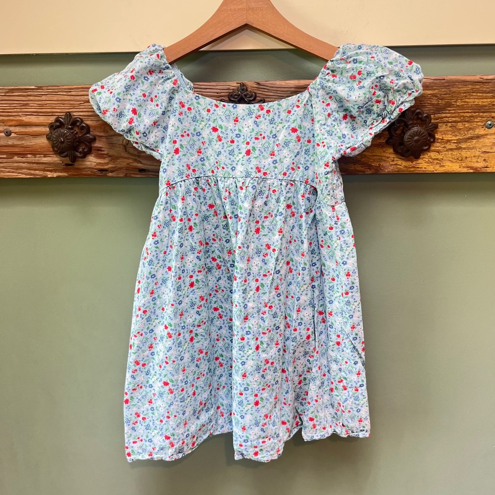 Janie and Jack Girls Blue Floral Puff Sleeve Button Back Cotton Dress Size 6